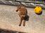 Immagine 3