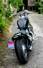 Honda shadow custom 600