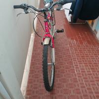 bici da bimba