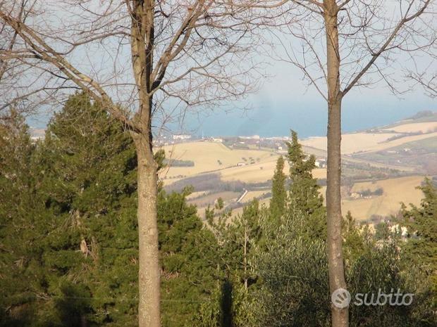 Monterubbiano casa con terreno vista mare