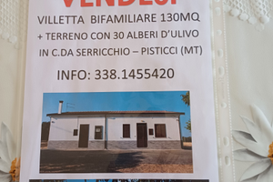 Villetta bifamiliare