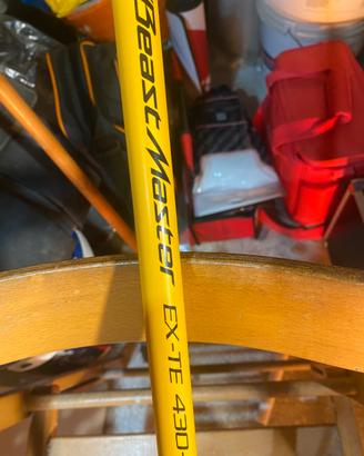 Canna da pesc piu mulinello