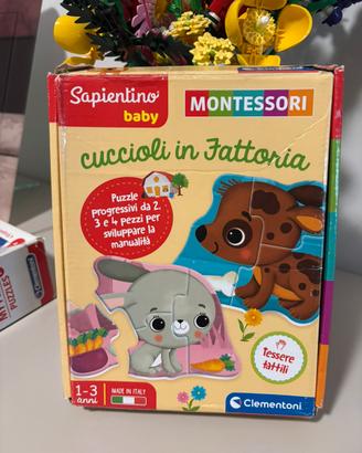 Sapientino baby