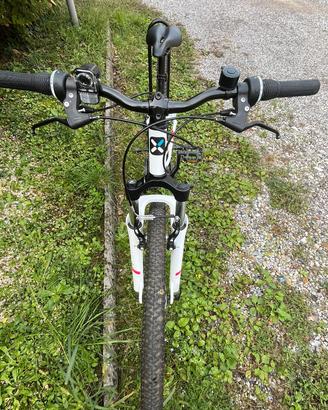 Bicicletta ragazza