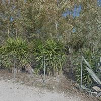 Terreno recintato Porto Cesareo