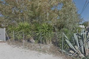 Terreno recintato Porto Cesareo