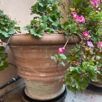 Vaso in terracotta artigianale