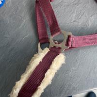 Capezza per suoer pony