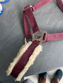 Capezza per suoer pony