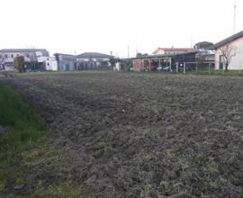 Terreno agricolo