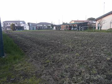 Terreno agricolo