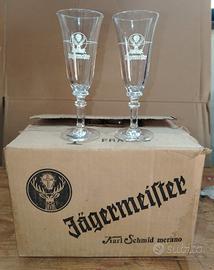 bicchieri Jagermeister 12 pezzi con scatola 