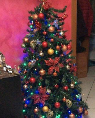 Albero di natale