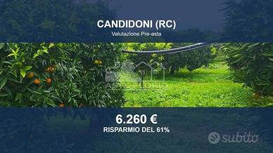 Immobile in asta di 3875 m² a Candidoni
