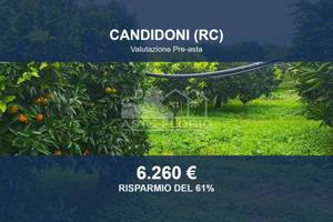 Immobile in asta di 3875 m² a Candidoni