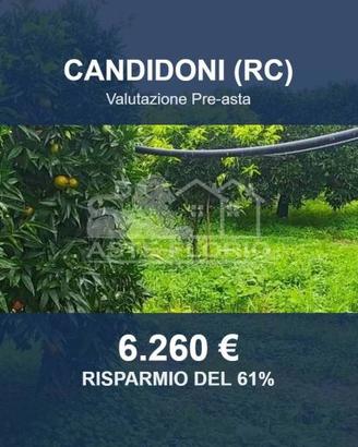 Immobile in asta di 3875 m² a Candidoni