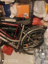 Bici con cambio Shimano