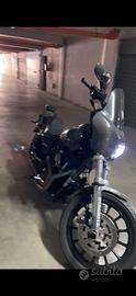 Harley davidson dyna