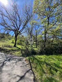 TER. AGRICOLO A SERRASTRETTA