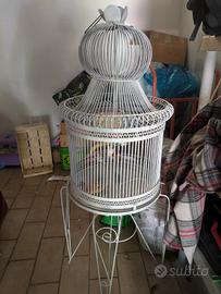 gabbia ornamentale