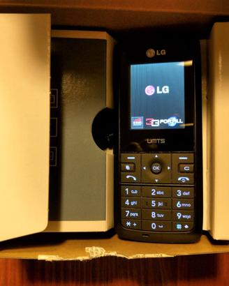 cellulare LG U250