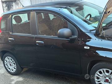 Fiat panda  benzina gpl