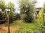 Immagine 28