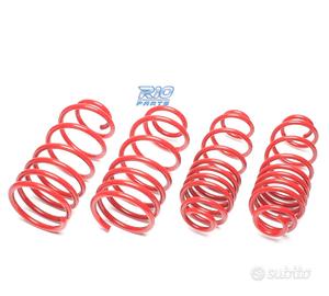 KIT MOLLE SPORTIVI PER ROVER