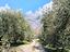 Immagine 28