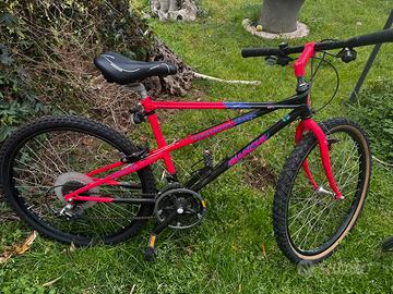 BIANCHI Thomisus Vintage anni '90