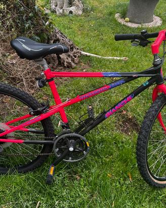 BIANCHI Thomisus Vintage anni '90