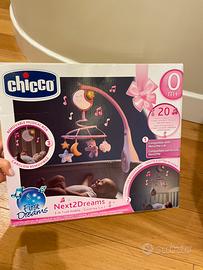 Chicco next to dreams