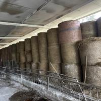 Balloni di fieno e di paglia