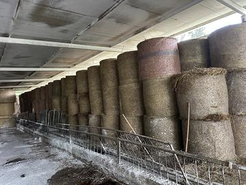 Balloni di fieno e di paglia