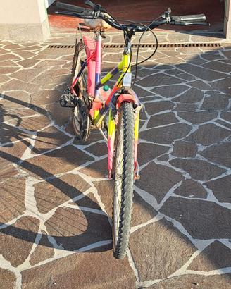 mountain bike 