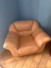 Divano e poltrona in pelle
