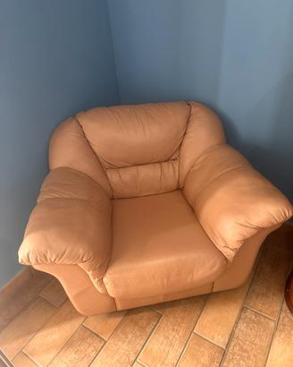 Divano e poltrona in pelle