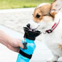 Bottiglia portatile per cani – Acqua sempre con te