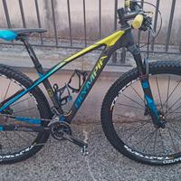 MTB 29 Olympia Iron 11v