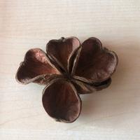 Arredo acquario terrario - Fiore di loto