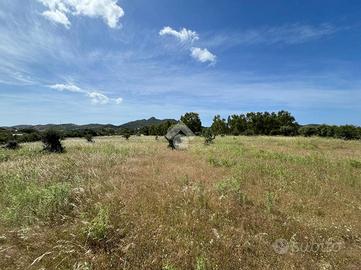 TER. AGRICOLO A VILLASIMIUS