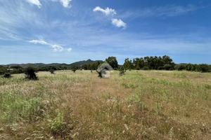 TER. AGRICOLO A VILLASIMIUS