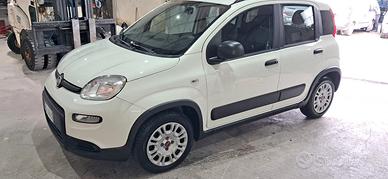 panda Hybrid 