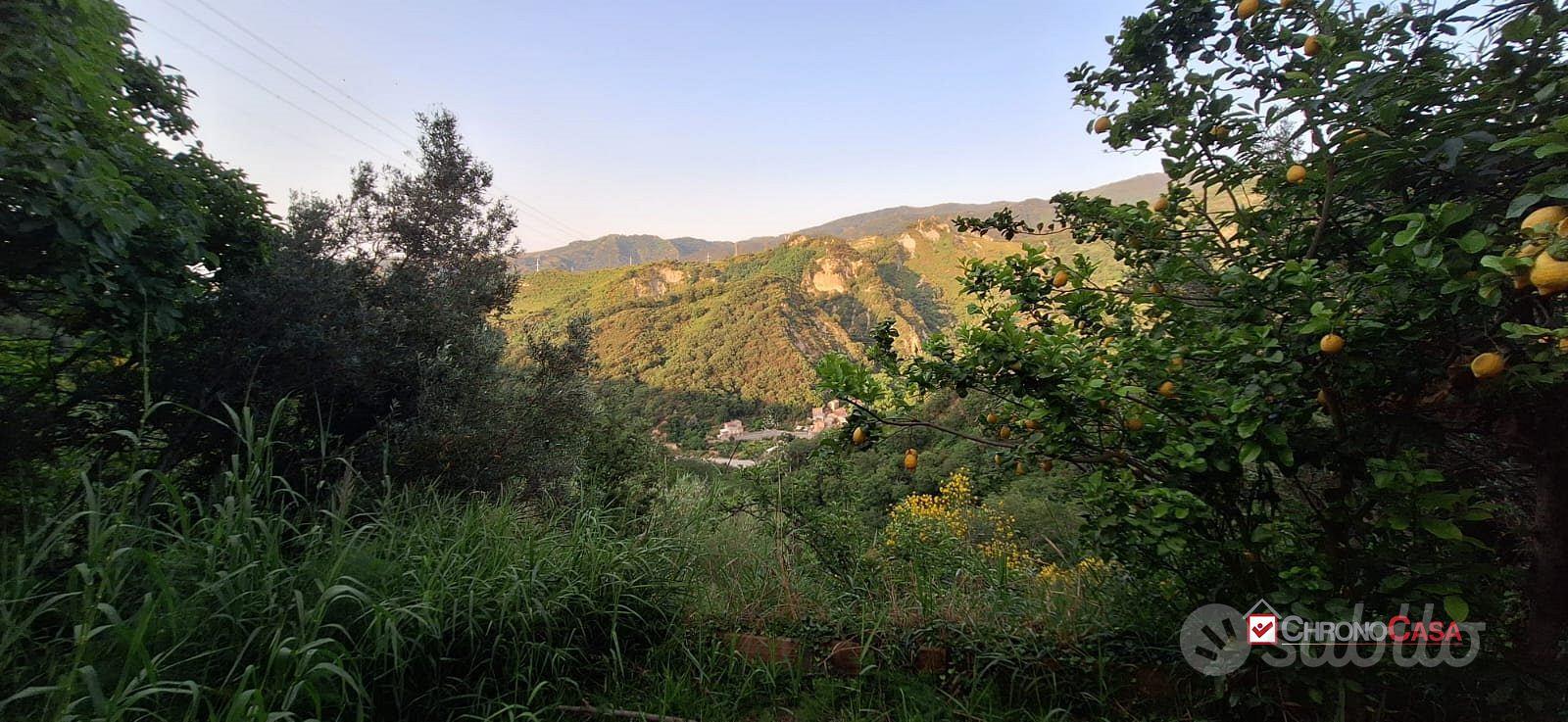 Rometta, terreno terrazzato di circa 2300 mq - Vista 4