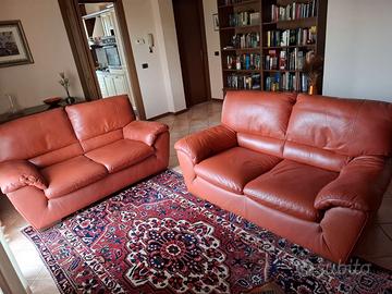 due divani in pelle Natuzzi
