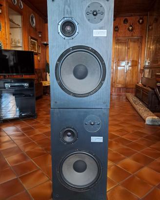 CASSE ACUSTICHE MODULO