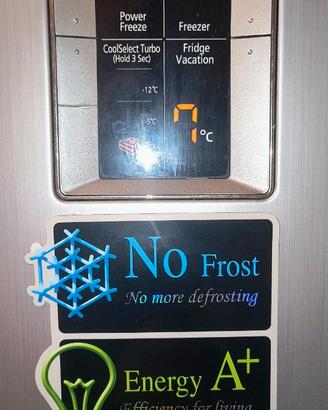 frigorifero Samsung no frost RT72KBSM