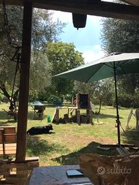 Casa con giardino C E R C A S I