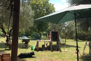 Casa con giardino C E R C A S I