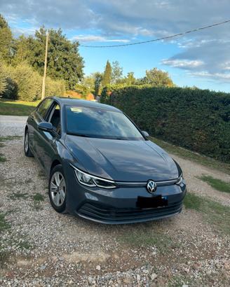 Volkswagen Golf 8 2.0 TDI da 116 CV